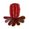 Bushy Blush Brooch By Erstwilder -MODERN MILLIE Shop 0001056398982EE8 L