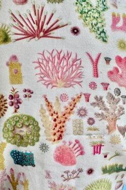 Cream Coral Reef Peggy Top By Palava X Natural History Museum 3 Cream Coral Reef Peggy Top By Palava X Natural History Museum -MODERN MILLIE Shop 0D28951E 09A7 44E9 83B9 0F572E1257C8