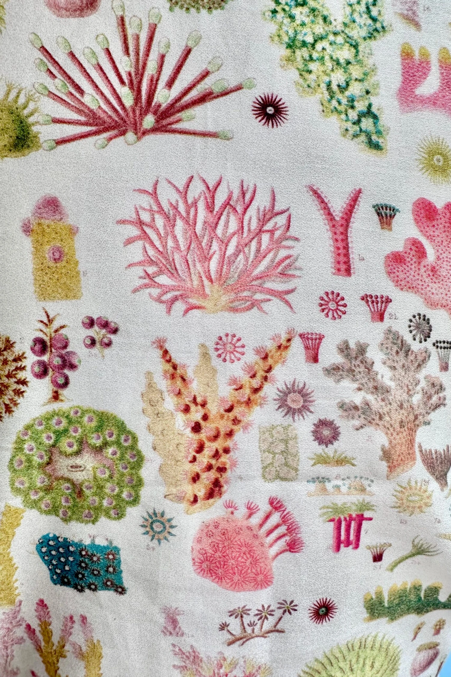 Cream Coral Reef Peggy Top by Palava x Natural History Museum Cream Coral Reef Peggy Top By Palava X Natural History Museum -MODERN MILLIE Shop 0D28951E 09A7 44E9 83B9 0F572E1257C8 scaled