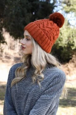Cable Knit Pom Pom Beanie Hat In Multiple Colors