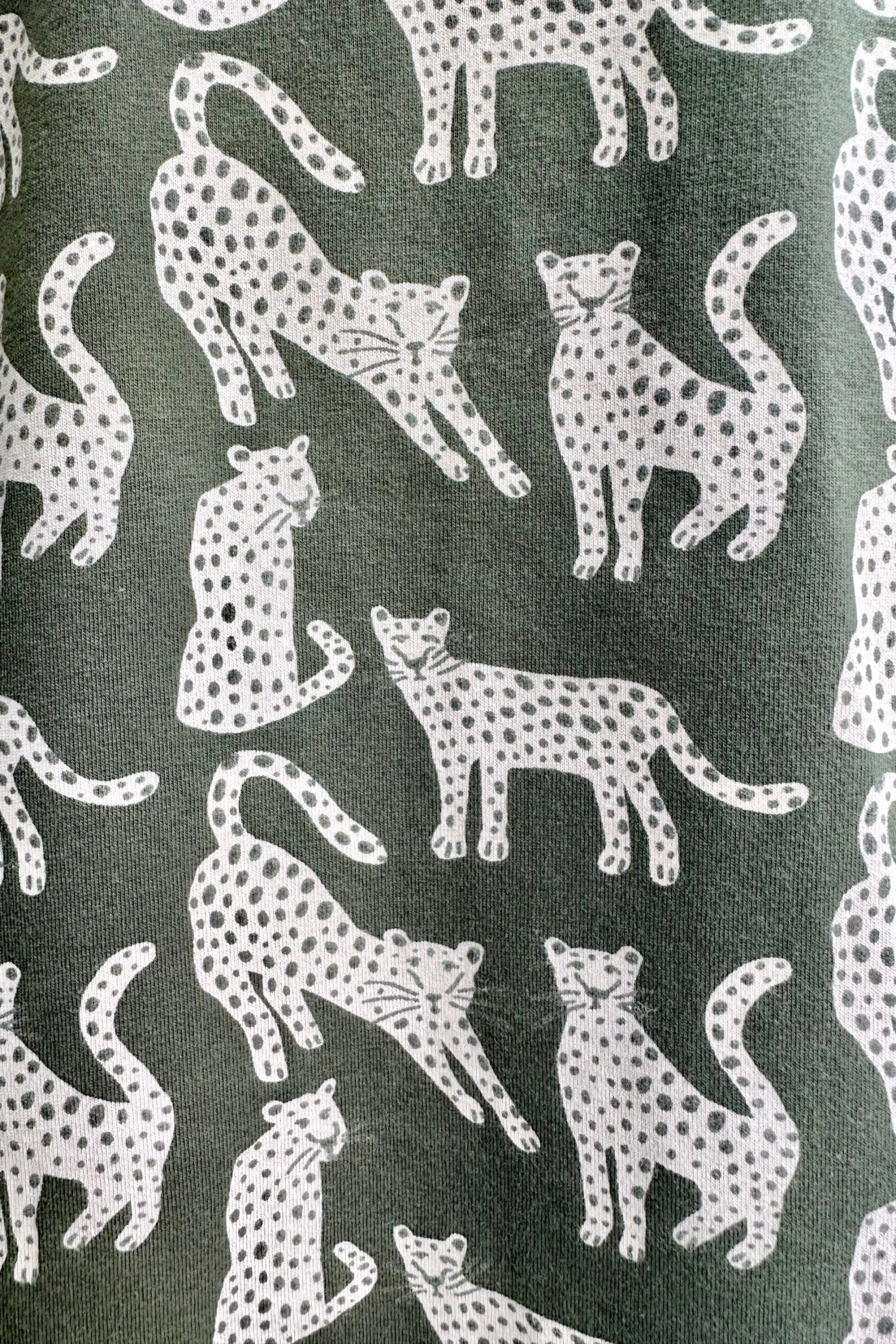 Caitlin Top in Leopard Green by Mata Traders Caitlin Top In Leopard Green By Mata Traders -MODERN MILLIE Shop 2722D1F4 17DB 490F B8CB 81633D6B2DC6 scaled