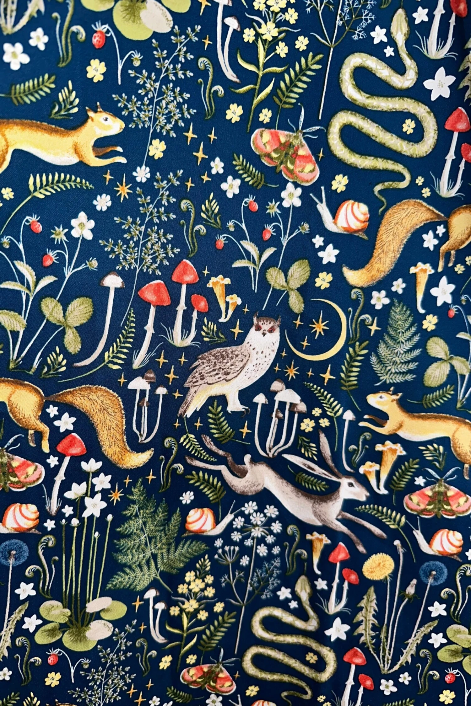 In the Wilderness Full Skirt by Eva Rose In The Wilderness Full Skirt By Eva Rose -MODERN MILLIE Shop 3D8809B5 8E79 4FA2 A997 A565D7BD04BA 7e26c27d 30fa 4616 8c4a 548eecab7d8d scaled