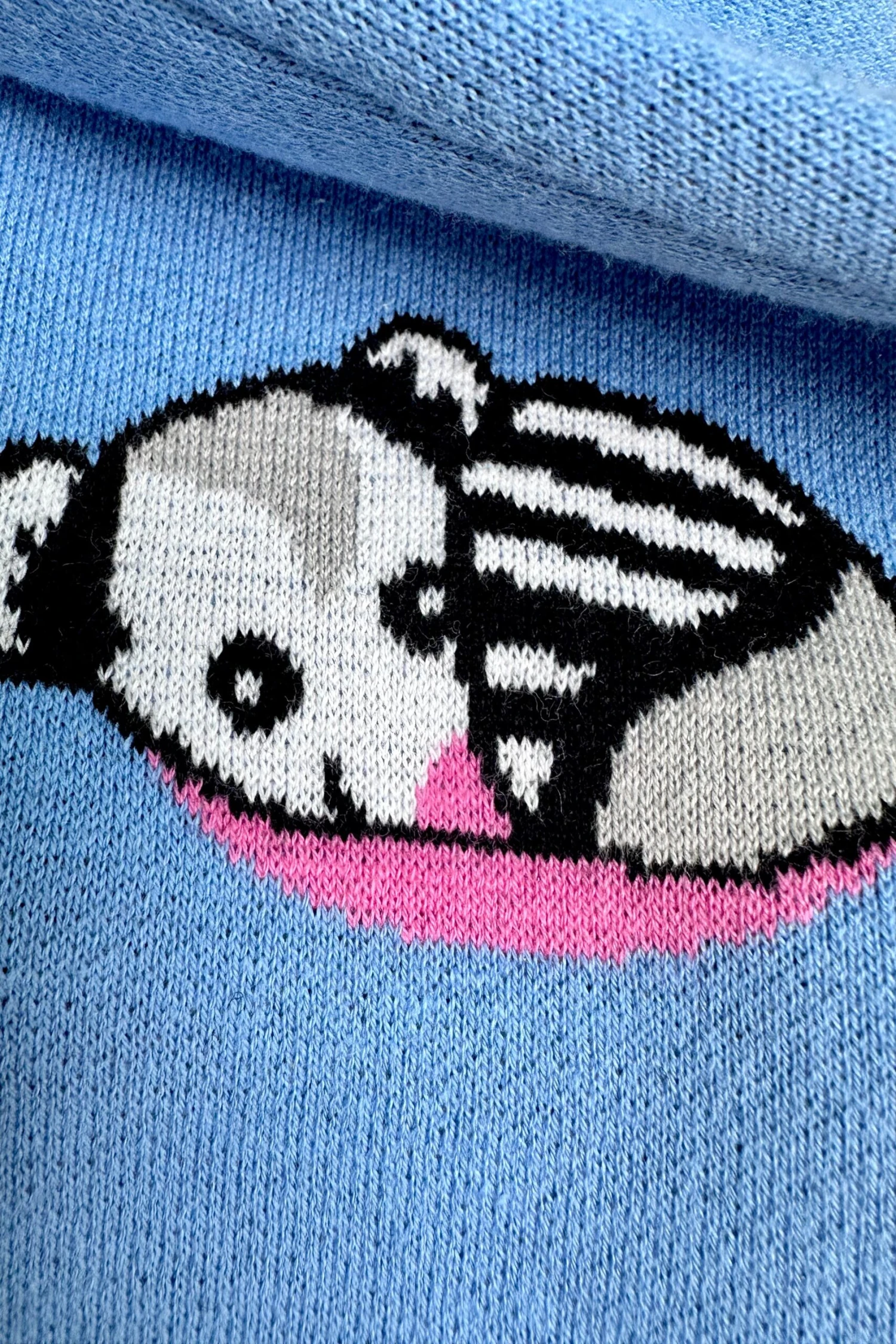 Varsity Possum Sweater by Sesame the Opossum Varsity Possum Sweater By Sesame The Opossum -MODERN MILLIE Shop 47EDFC36 4F15 40DF 8618 8DE64EF32BDE scaled