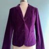 Purple Fitted Velvet Blazer By Jawbreaker 2 Purple Fitted Velvet Blazer By Jawbreaker -MODERN MILLIE Shop 50515E1B 3521 4400 BB99 012C8207A278
