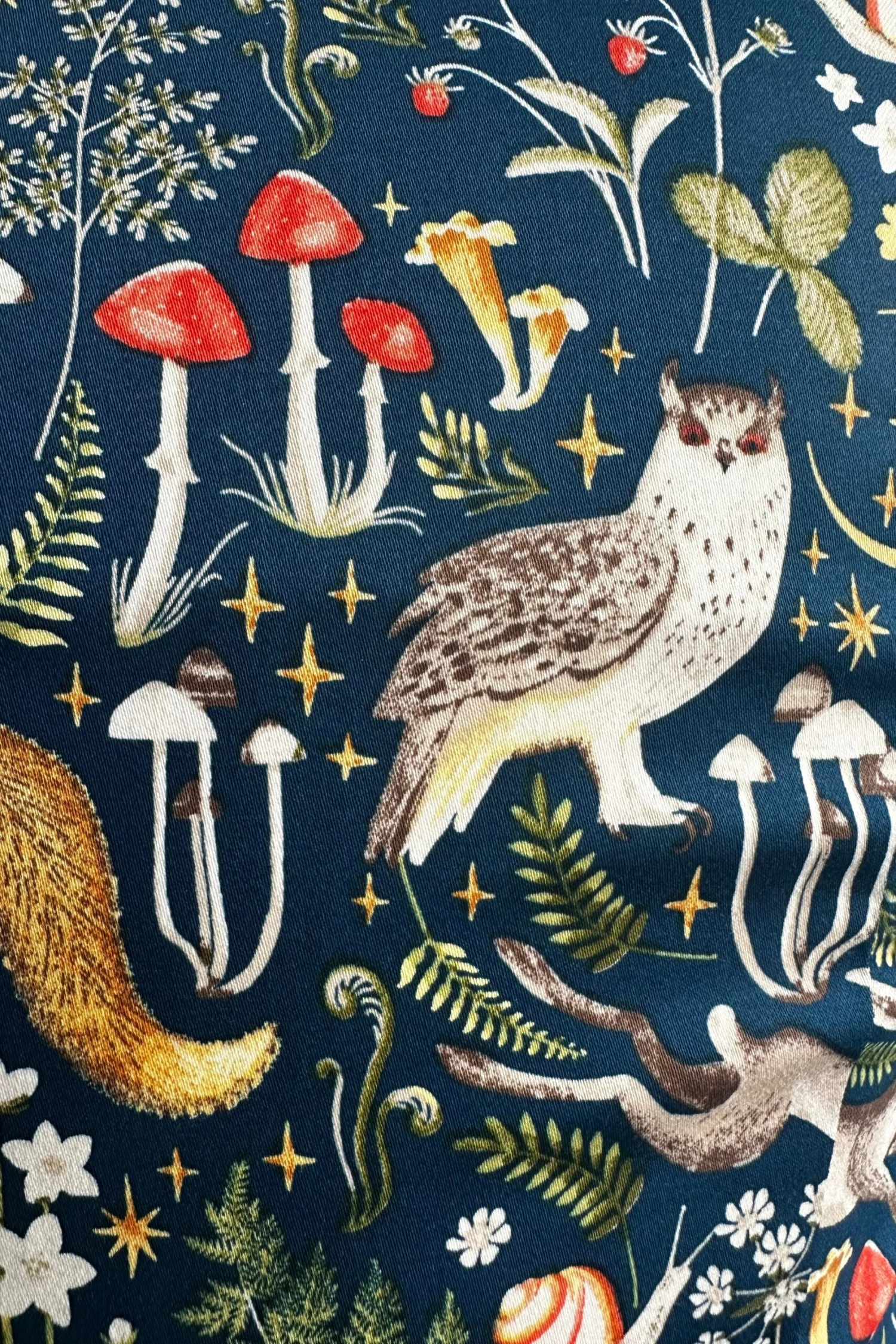 In the Wilderness V-Neck Dress by Eva Rose In The Wilderness V-Neck Dress By Eva Rose -MODERN MILLIE Shop 53F8BC17 919F 4CAB A5FB BD232153DA10 b1b83314 d266 4656 81bf 7912ef0c6f77 scaled