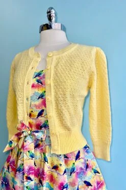 Rainbow Bird Lori Dress By Miss Lulo -MODERN MILLIE Shop 653907F0 CAE7 4D40 BEED EC01A1699B4E