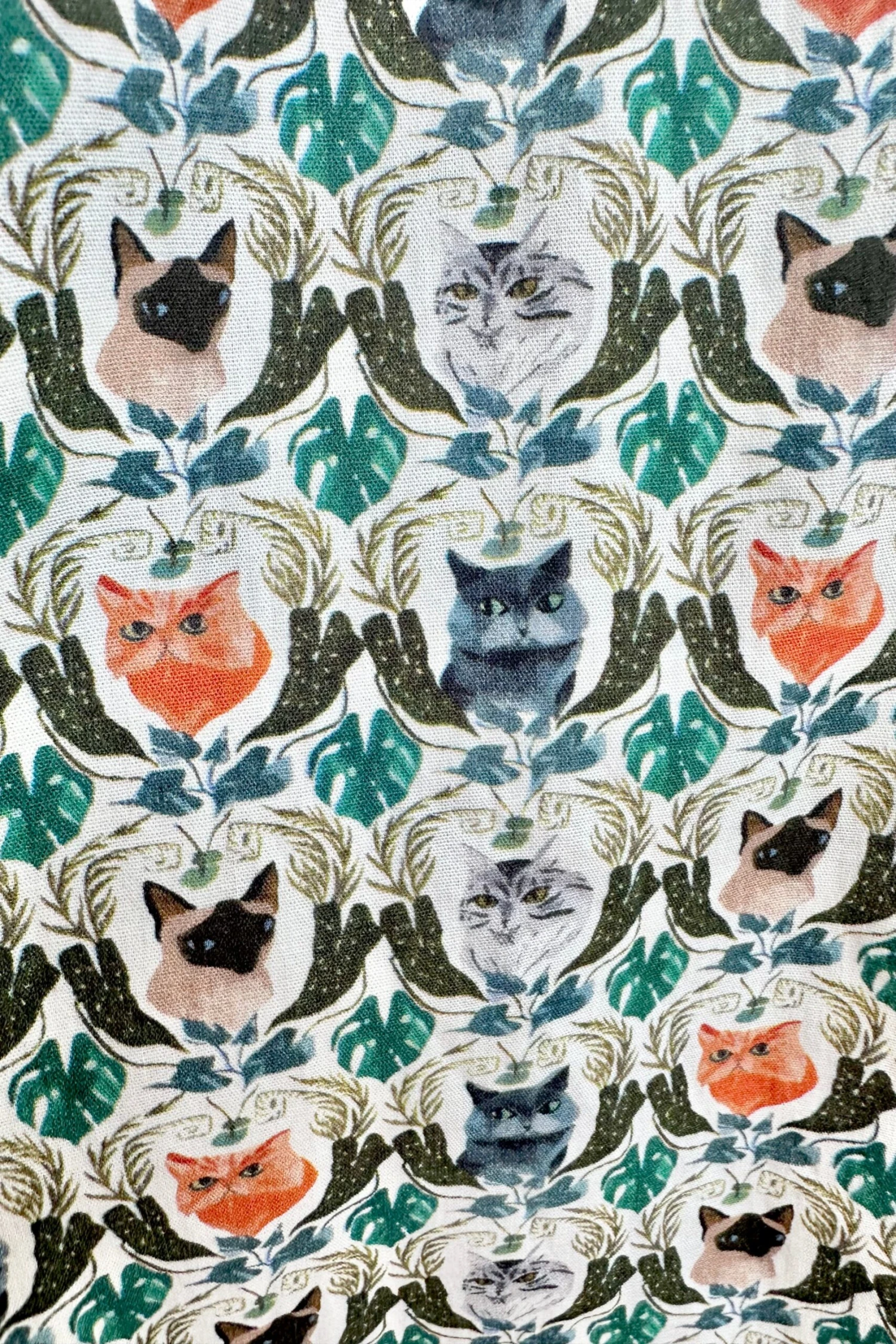 Cat Portraits Bella Shirt Dress by Banned Cat Portraits Bella Shirt Dress By Banned -MODERN MILLIE Shop 6C1F227E F516 4797 B9EE CC7F44E79E13 scaled