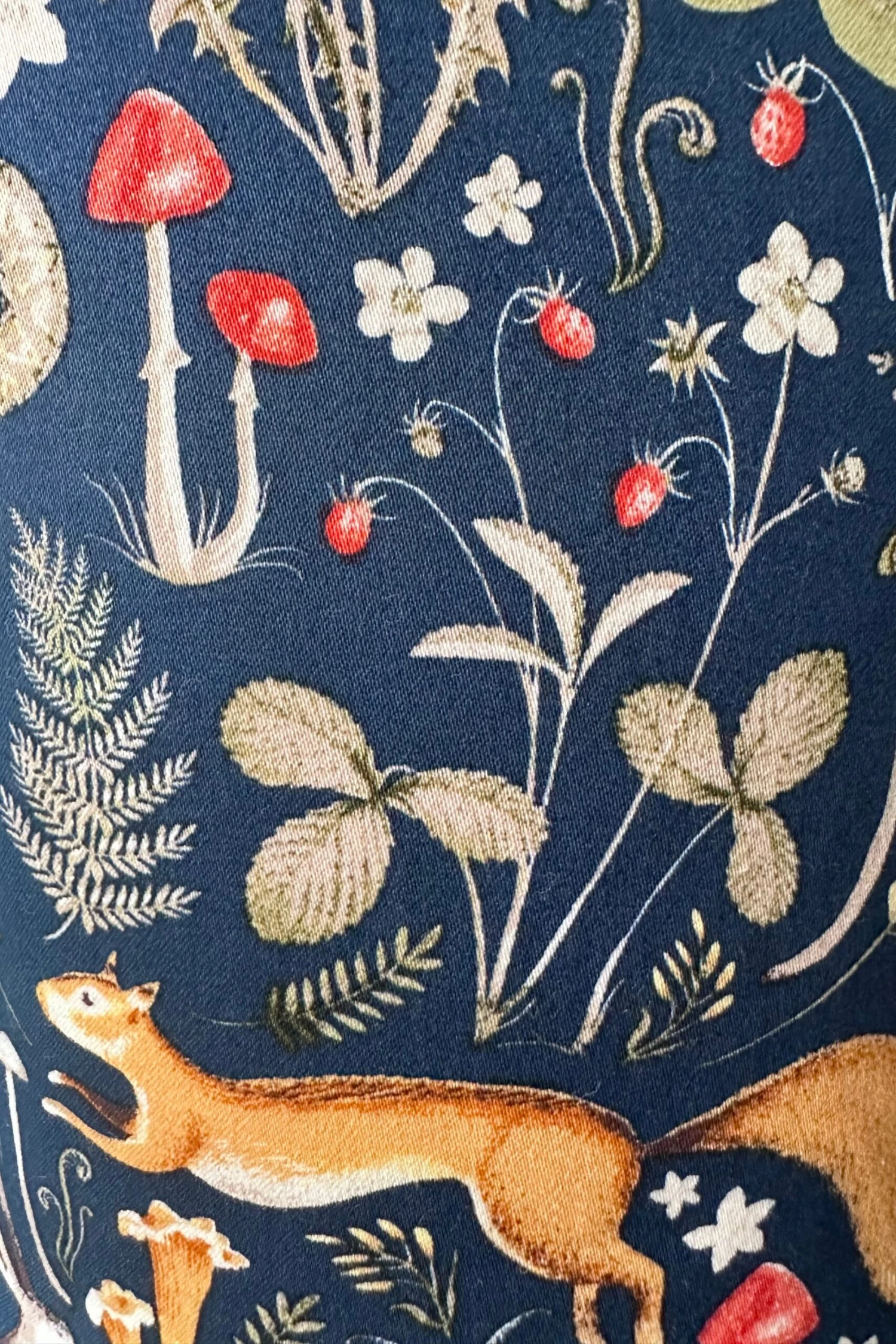 Kids In the Wilderness Dress by Eva Rose Kids In The Wilderness Dress By Eva Rose -MODERN MILLIE Shop 6DFDBA23 4426 4C89 8654 AC485AA1156E scaled