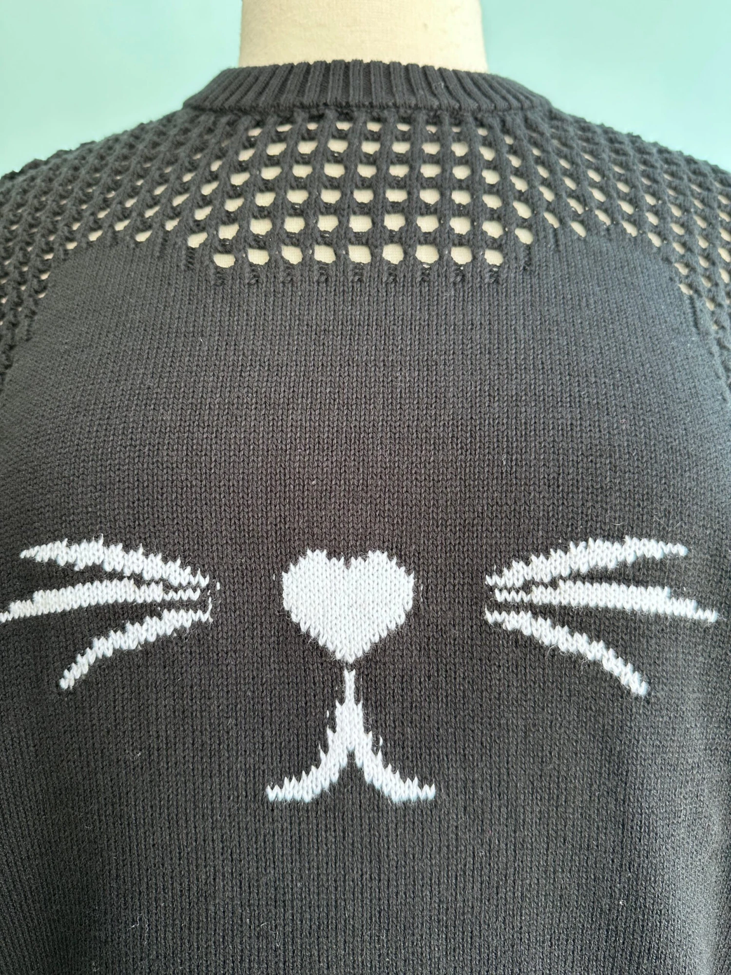 Black Cat Open Weave Pullover Sweater Black Cat Open Weave Pullover Sweater -MODERN MILLIE Shop 7A67A052 8AFA 44F8 8E66 F7760BC1966A scaled