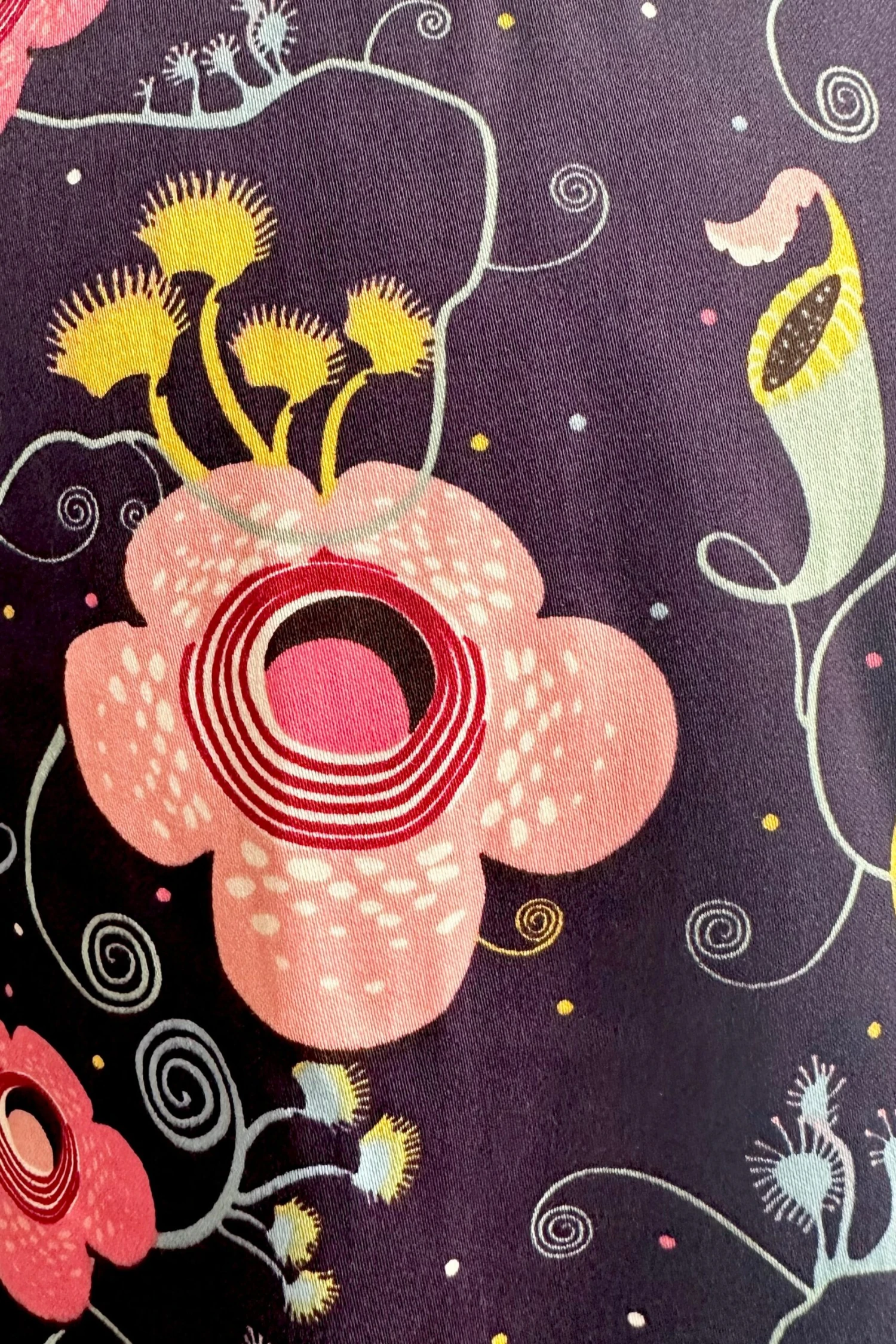 Kids Carnivorous Dress by Eva Rose Kids Carnivorous Dress By Eva Rose -MODERN MILLIE Shop 8691834F C9D8 45E5 8EFD 85E08939192E scaled