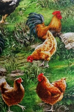 Spring Chicken Fit & Flare Dress By Retrolicious -MODERN MILLIE Shop AFA279CD B3C7 4750 95C8 67EDCC86EC7D