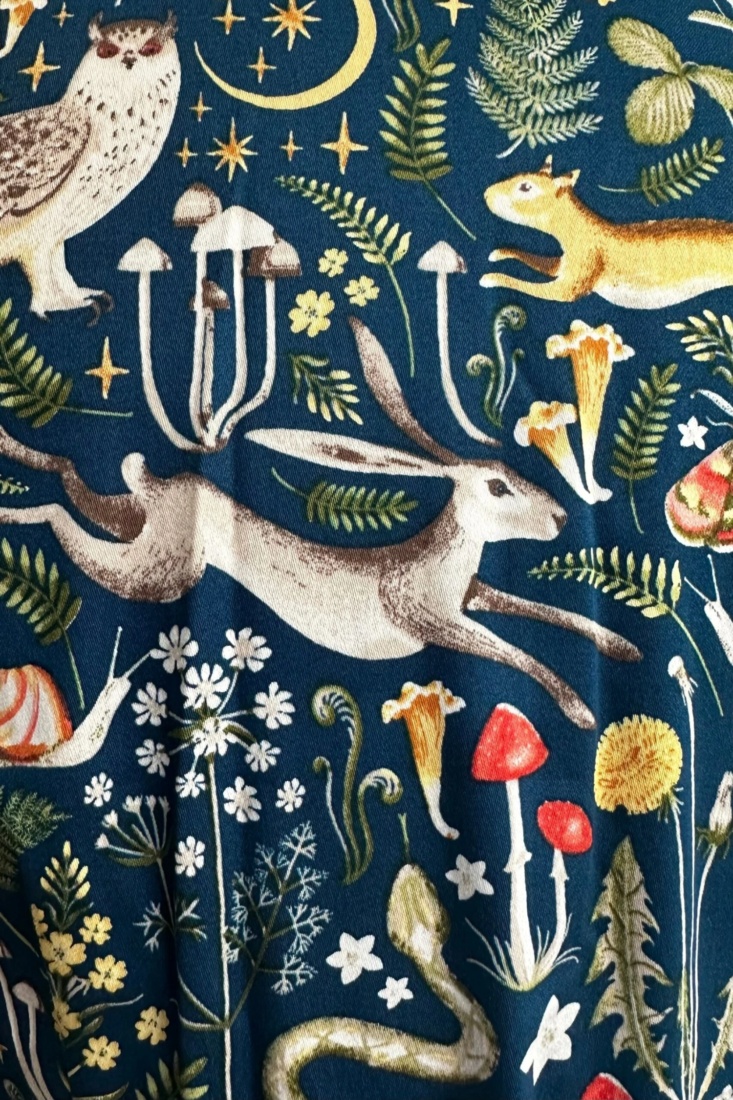 In the Wilderness Knee-Length Shirtwaist Dress by Eva Rose In The Wilderness Knee-Length Shirtwaist Dress By Eva Rose -MODERN MILLIE Shop C0D0F37E 450F 4A3F 9620 1981E4521624 scaled