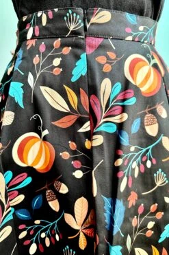 Pumpkins And Leaves Full Skirt By Eva Rose -MODERN MILLIE Shop D5828F10 F4CC 4AA1 AD2E E758EC907F00