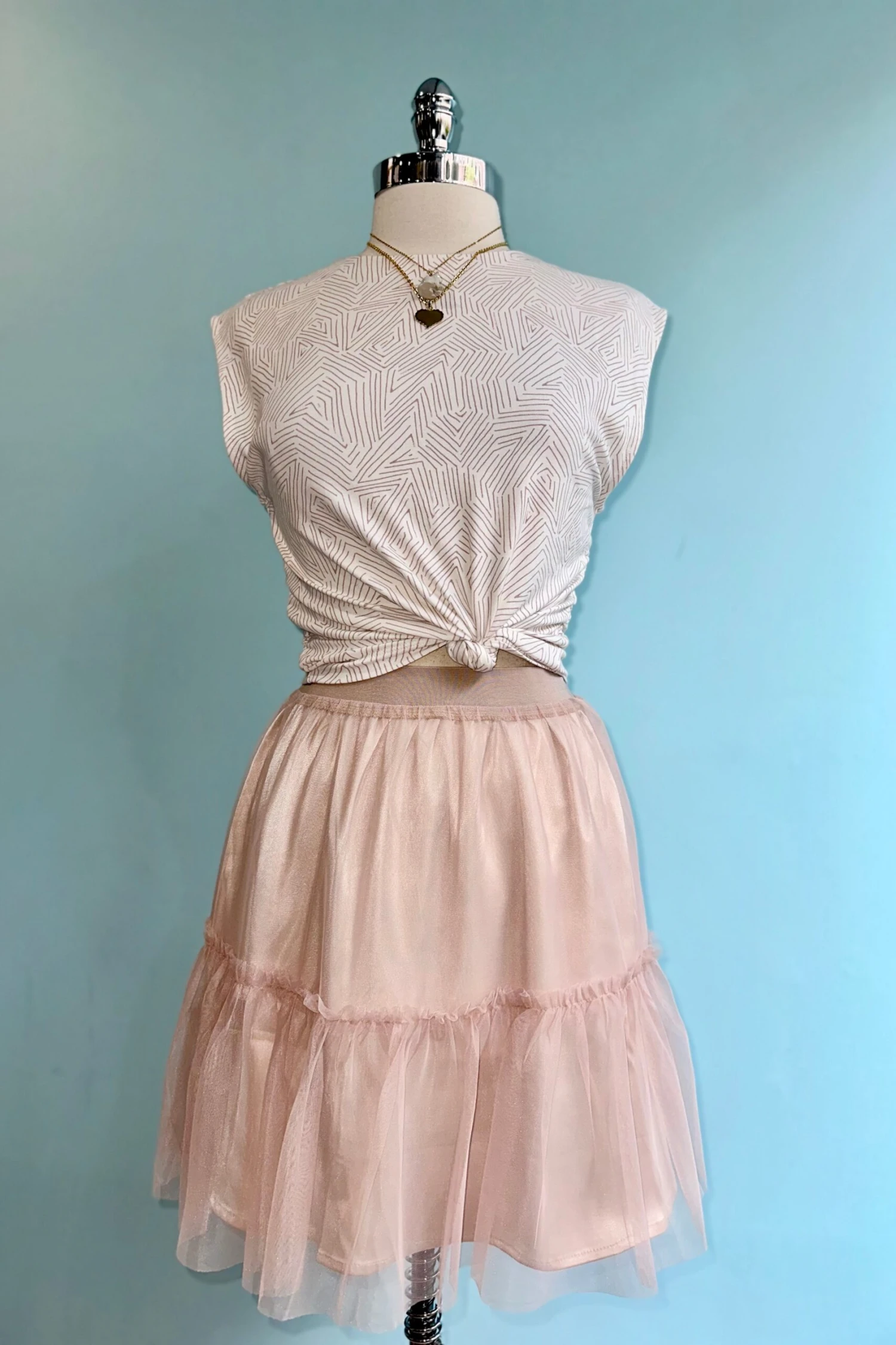 Blush Layered Mesh Mini Skirt Blush Layered Mesh Mini Skirt -MODERN MILLIE Shop E6CA7F01 E305 455D A418 31EE662BB42D scaled