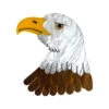 Ethan The Bald Eagle Brooch By Daisy Jean