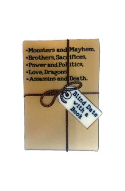 Blind Date With A Book Brooch By Daisy Jean